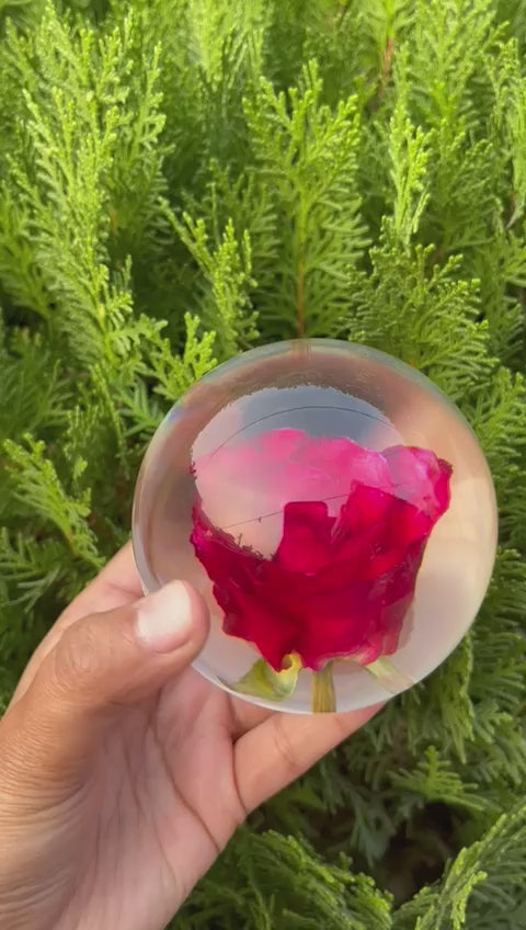 Rose Paperweight