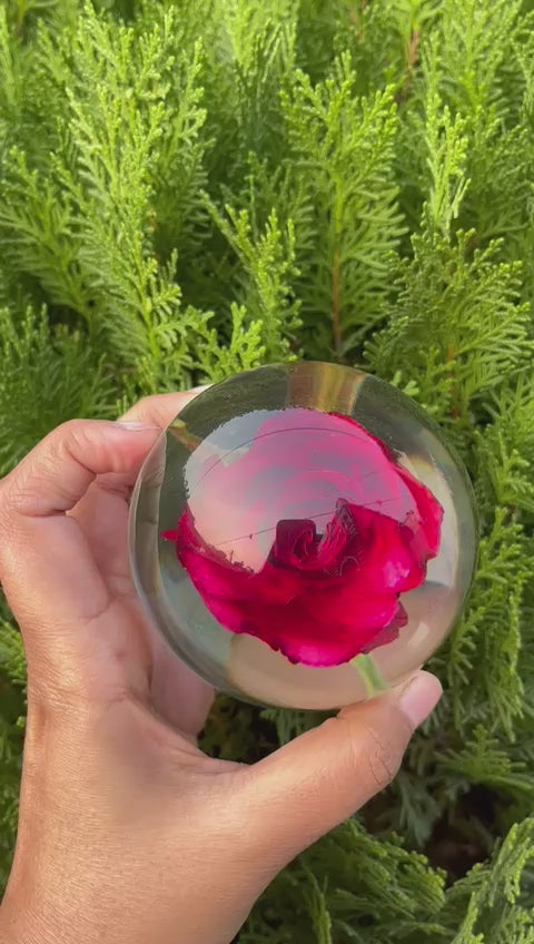 Rose Paperweight